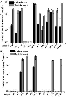 Community Composition and Transcriptional Activity of Ammonia-Oxidizing Prokaryotes of Seagrass Thalassia hemprichii in Coral <mark class="highlighted">Reef Ecosystems</mark>